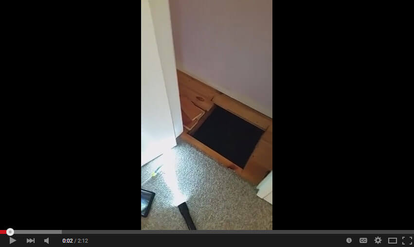 Video: Termite Mudding