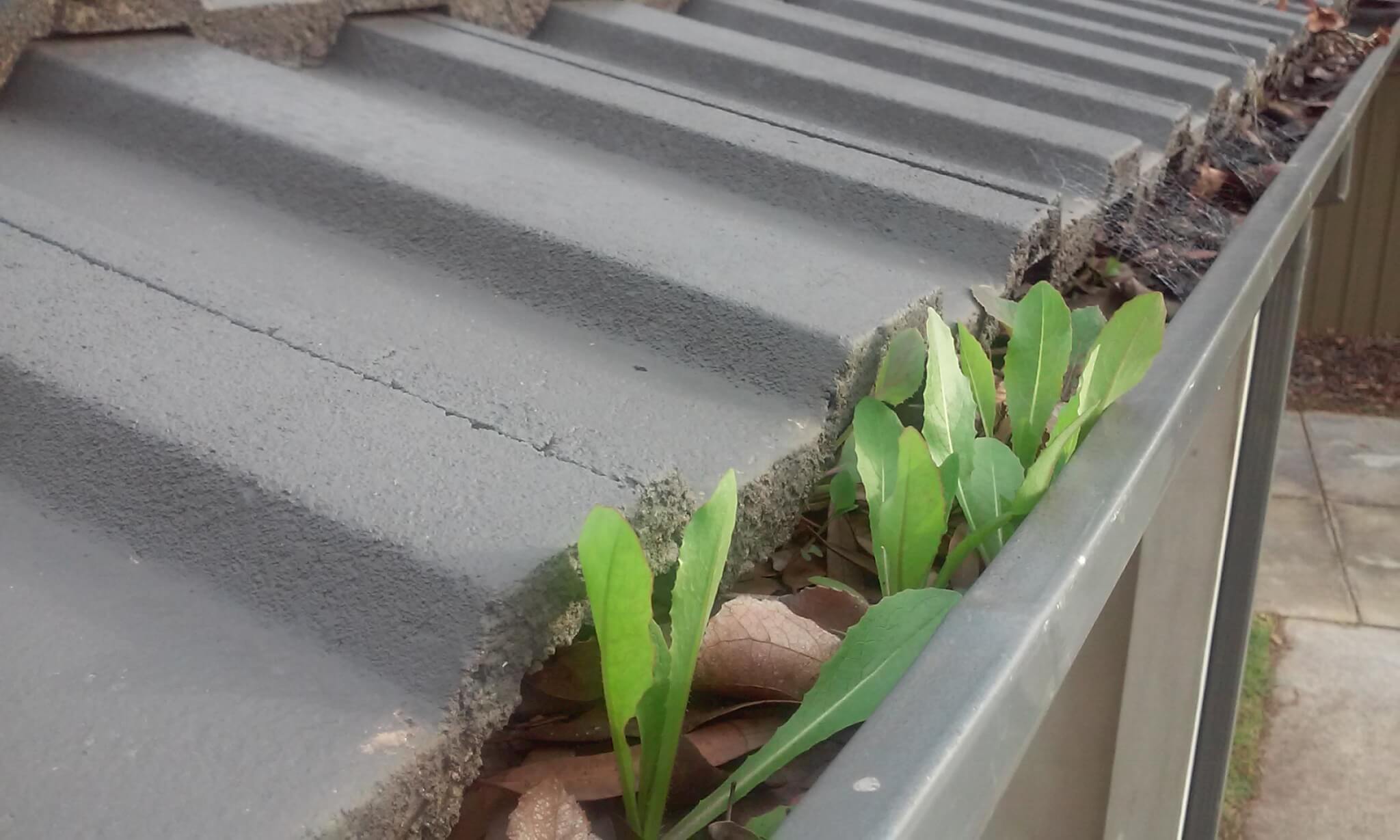 Building inspection, full gutters