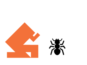 Building and pest inspections combined